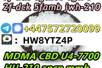 SignalTelegram 447572720099  2CP  APHP  ETA  ET